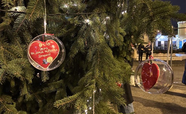 Mladi Zagrebačke nadbiskupije okitili bor ispred katedrale